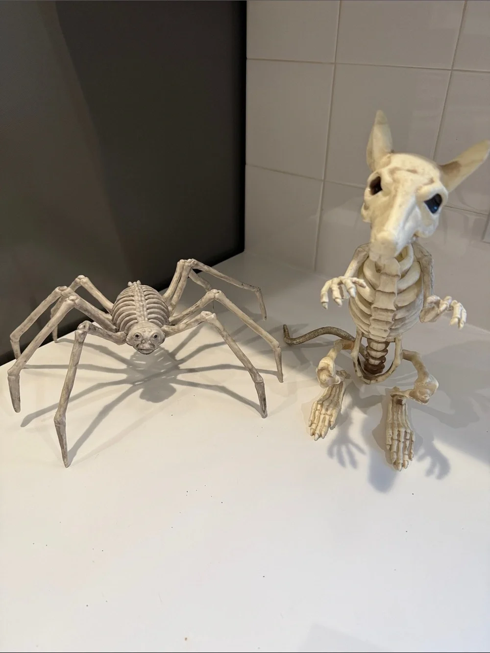 White Skeleton Reptile & Spider Habitat Décor Set